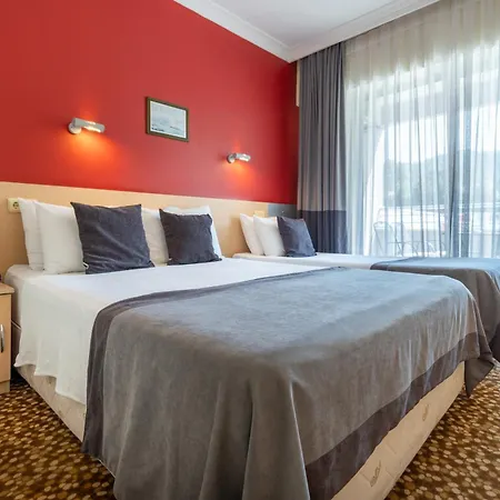 Grand Viking 4*