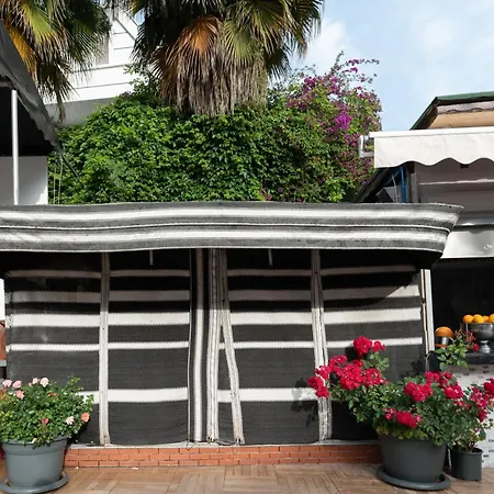 Hotel Grand Viking Kemer